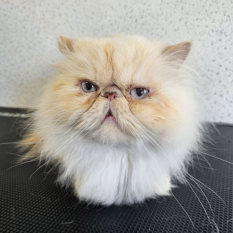 434996564 411087435004377 628607487803606767 n