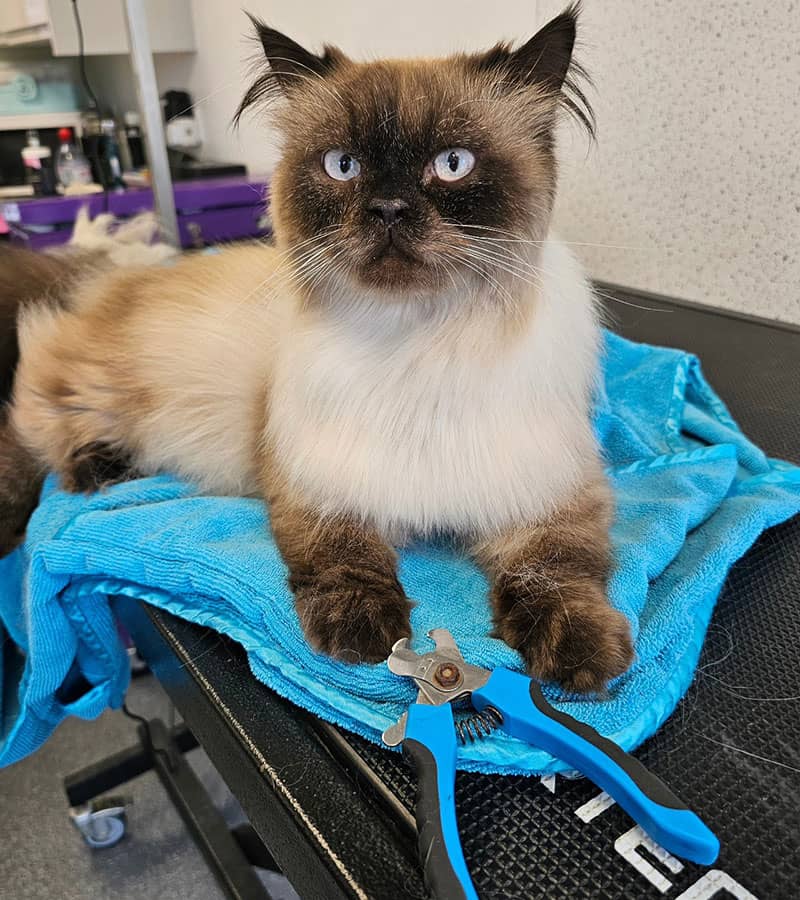 444165437 434027682710352 8737412289879817496 n