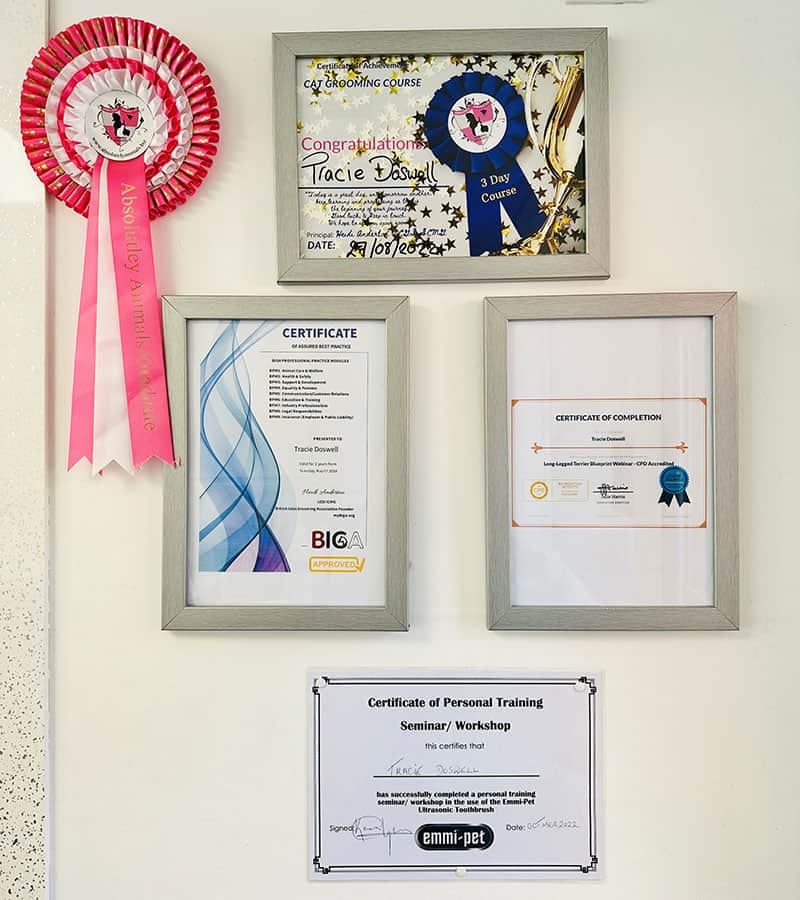 TJ Grooming Certificates
