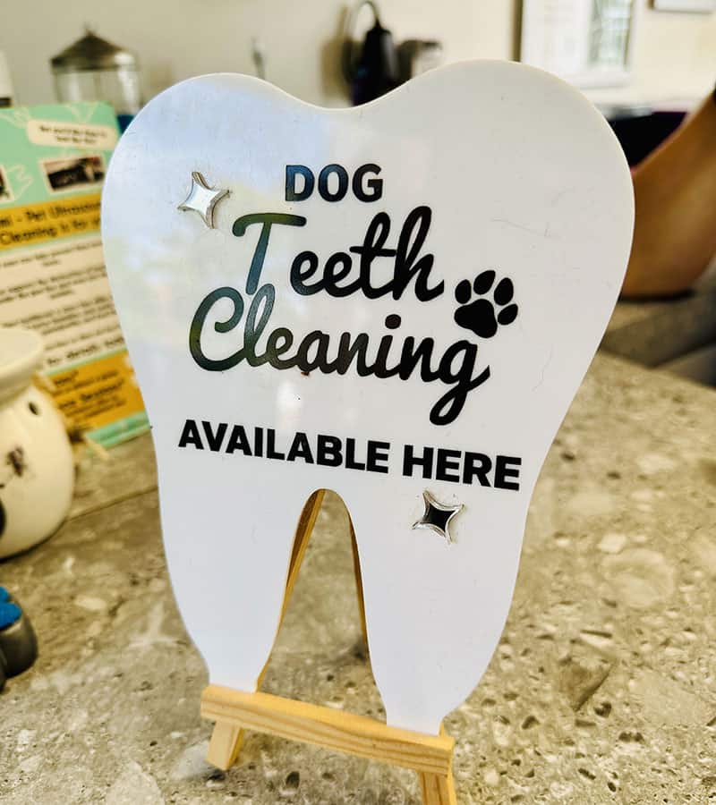 Teeth cleaning
