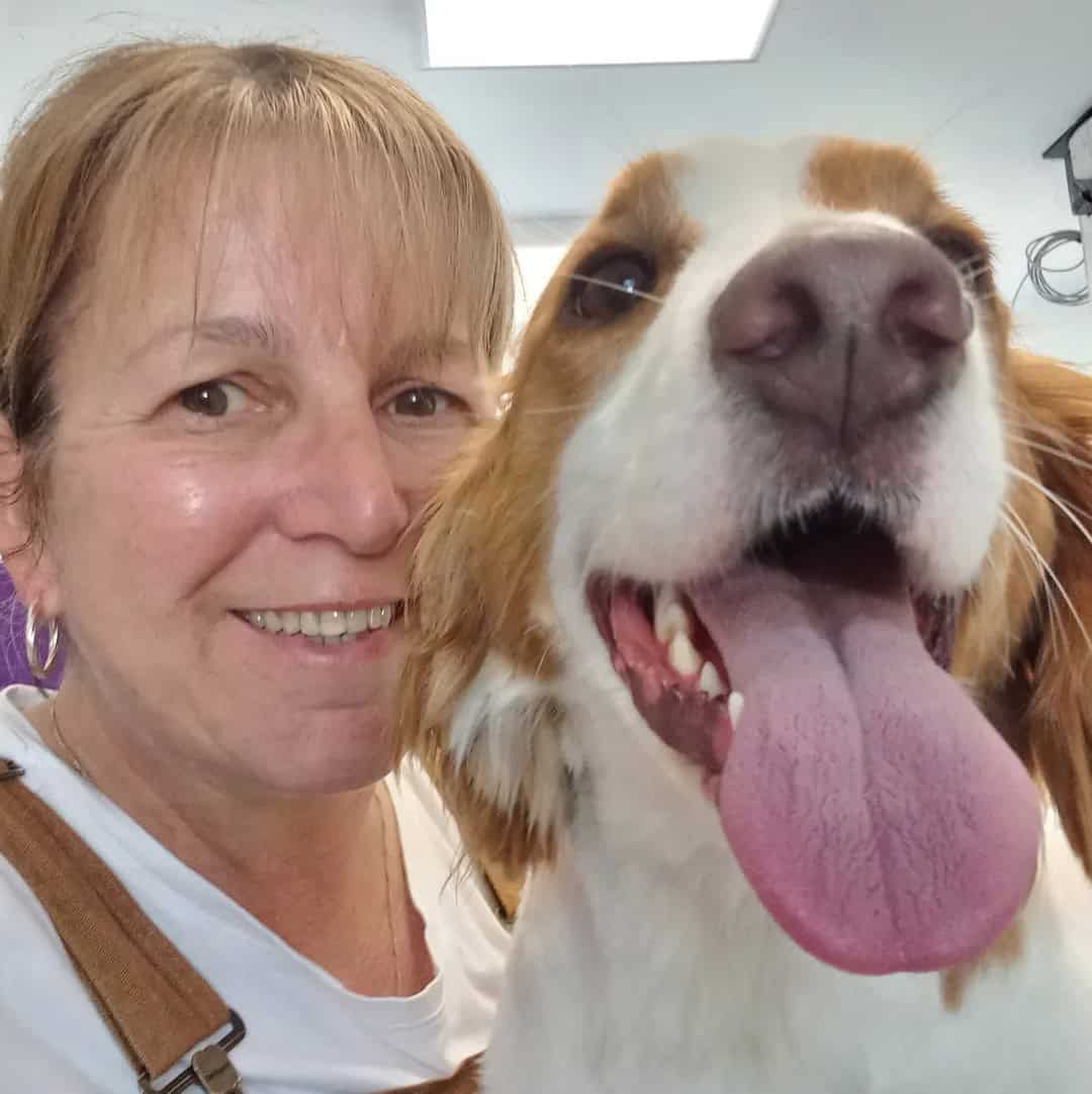 Dog grooming with Tracie at TJ's in Bexhill